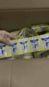 (COMBO 10 gói). Regent Chuẩn NHẬP Thái gói 1.6g (date 2025). Trừ rầy nhện kiến gián mối bọ chét ve chó. Hàng bao chất lượng