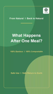 Biodegradable Round Food Container (Pre Order)