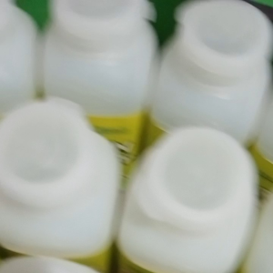 Health Wealth Green Barley Sweetened with Stevia 23g: A Natural Health Supplement