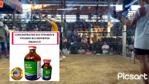 Vita B15 For Gamefowl Fighting Chicken And Animals