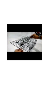 Perangkap Tikus / Jebakan Tikus