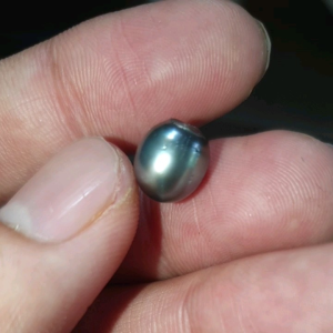 899-NGỌC TRAI SOUTH SEA ĐEN NƯỚC MẶN NUÔI CẤY KHOANG MỘT BÊN LỖ