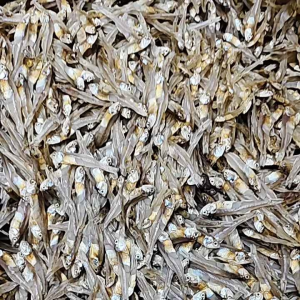 ปลาซิวตากแห้ง ราคา99 น้ำหนัก300กรัม ถุงใหญ่ ไม่เค็มไม่ข้ม