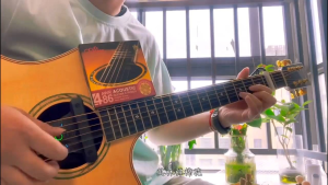 Dây Đàn Guitar Acoustic Alice AWR486 I Dây Đàn Guitar Alice Phủ NANO Hàng Chính Hãng Cao Cấp