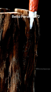 Rak serbaguna besi P60cm L40cm T60-100cm. rak aquarium. rak bongkar pasang. rak penyimpanan. rak sepatu. rak buku. meja kamar tidur. meja dapur.