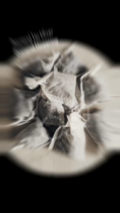 All purpose growing and flowering plant fertilizer/Diamond Fertilizer Diamond Flowering