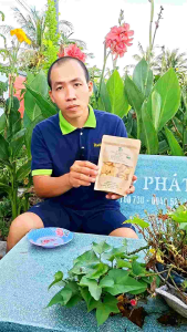 Chuối sấy giòn Gò Công-Thơm ngon giòn xốp-Không đường-Không chất bảo quản-Đóng gói tiện lợi để ăn vặt