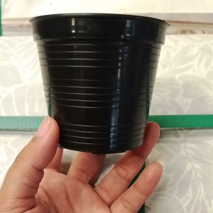 กระถางพลาสติกขนาด3นิ้ว 50ใบ