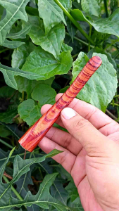 pipa cangklong kayu red zebra super 11cm