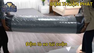 [FREE SHIP GIAO HÀNG TOÀN QUỐC ] ĐỆM LÒ XO TÚI CUỘN KIM CƯƠNG - BẢO HÀNH 10 NĂM - TREND - HÀNG CHÍNH HÃNG Đệm Lò Xo Túi Cho Giấc Ngủ Thoải Mái Đệm Chống Vi Khuẩn Và Kháng Khuẩn - Lazada