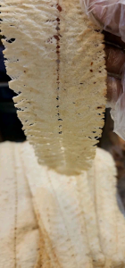 หมึกบดธรรมชาติ รส Original ไม่เผ็ด หมึกย่างเตาถ่านบดใหม่ทุกวัน