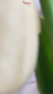 SUYO BODY SERUM BPOM