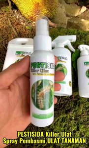 Spray PEMBASMI ULAT TANAMAN | SEMUA JENIS ULAT TANAMAN | 100% Efekti BASMI ULAT TANAMAN | Aman Untuk Tanaman | Ramah Lingkungan | Isi Ulang 1 LITER | 1 LITER GRATIS 250ML | 1 LITER GRATIS 500ML