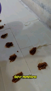 CIRENG ISI KHAS BANDUNG 20pcs ORIGINAL RASA