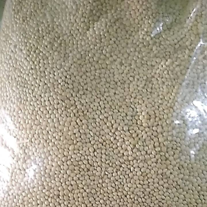 Makanan Burung Berkualitas: Millet Putih Polos 1kg