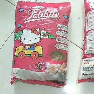 Felibite 500 gram Bentuk Ikan Rasa Tuna Makanan Kucing Kering Murah  Cat Dry Food Freshpack
