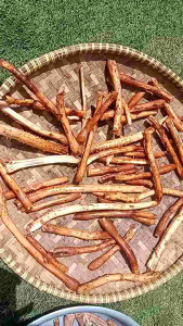 AKAR PINANG ATAU AKAR JAMBE SEGAR /BASAH UNTUK RAMUAN OBAT KUAT PRIA