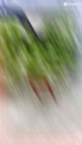 Khay sim Samsung A20 hàng chuẩn giá tốt