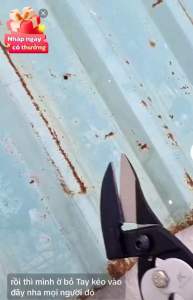 KÉO CẮT TÔN MỎ NGHIÊNG 45 ĐỘ KÍCH THƯỚC 10 INCH HÃNG KAPUSI NHẬT BẢN