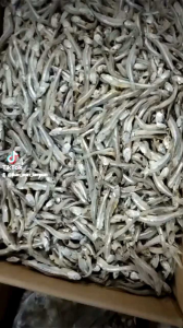 IKAN ASIN TERI REBUS 1KG