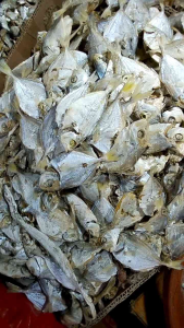 IKAN ASIN PETEK REBUS 500 gram & 1 KG