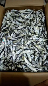 IKAN ASIN LEMET BESAR REBUS 500gram