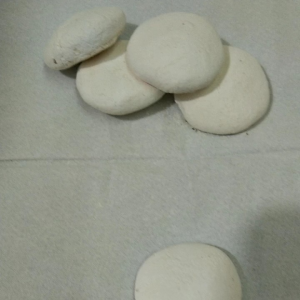 RAGI SUPER Untuk Fermentasi Pada Tape Kue Buah Sayuran Tempe Dll