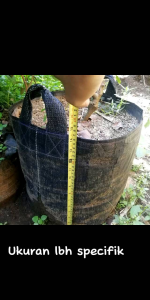 planterbag/pot tebal hitam ukuran 50liter termurah tahan lama