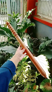 tongkat gada kayu setigi setegi santegi laut S87