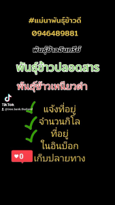พันธุ์ข้าวเหนียวขาวธัญสิริน