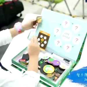 Mainan Edukasi Magnetic UCMD LIFE CYCLE