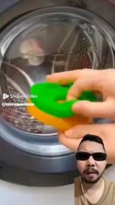 pembersih bulu dan debu