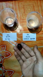 b4tu g et ah kaliayu natural bisa mengapung di air garam