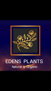 Thai bamboo shoots (หน่อไม้ไทย)