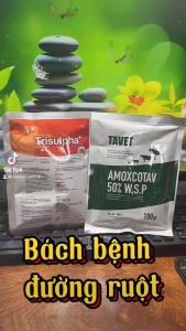 Bộ Amoxcotav và Trisulpha 100gram - bách bệnh đường ruột -amox 50% + sulfamono