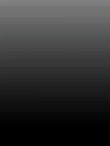 Air Filter Brush Cutter