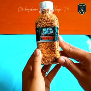 banyu langitan pakan perkutut banyulangitan pakan herbal