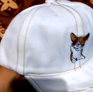 CAE - Topi Baseball Corgi Denim Jeans Anak Laki Perempuan Topi Bisbol Import