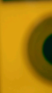 Plastik Zakat Masjid Al-Aqsa Palestina 3kg (isi 100pcs)