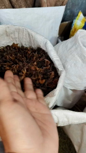 STAR ANISE / GOOD QUALITY ( AVAILABLE 500g / 250g / 100g)