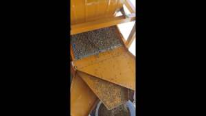 เครื่องร่อนข้าวเปลือก ข้าวสาร เมล็ดพันธ์