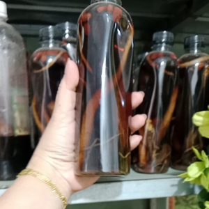 chai tĩu cá ngựa 500ml (chai nhựa)
