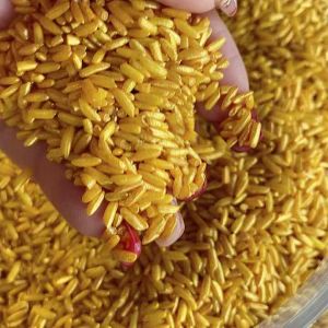 Bán sỉ 1kg gạo Vàng Thần Tài thu lộc chiêu tài bán buôn bỏ sỉ