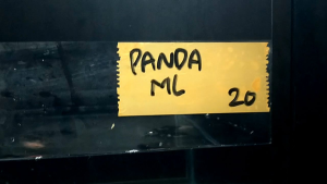 ikan mas koki panda ( ML)