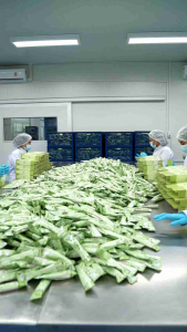 ไฟเบอร์เอส บอสหนู Fiber S ปรับระบบขับถ่าย สูงอร่อย ลดบวม ตัวเบา ลดสัดส่วน ลดพูง อุปสรรคสำหรับผู้ที่ต้องการ ดีที่สุด