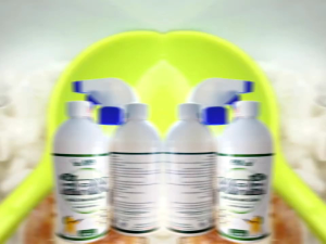 Thuốc diệt ruồi Bio ERN(an toàn cho gia đình)