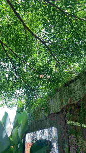 Elora Dress Satin Silk Premium: Pilihan Baju Muslimah Lebaran, Gaun Remaja Pesta, dan Baju Kondangan Bridesmaids