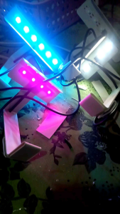 lampu led aquarium mini 5volt model jepit pencahayaan optimal banyak pilihan warna ukuran jumlah mataaquariymaquascape.