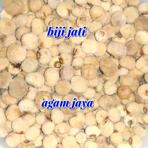 Biji Jati Sudah Berlubang Isi 10 Biji: Aksesoris Dekorasi Rumah