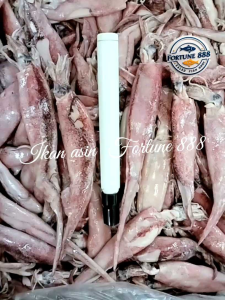 Ikan Asin Cumi / Sotong Jarum Asin Kualitas Premium